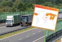 Jest lista państw. Służby mówią, skąd jedzie zatrzymywana żywność