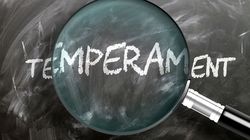 Temperament - charakterystyka, rodzaje temperamentu według Hipokratesa i Galena, rodzaje według Pawłowa