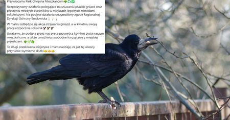 Chwalił się zrzucaniem gniazd ptaków. Ludzie odpowiedzieli mu podczas wyborów