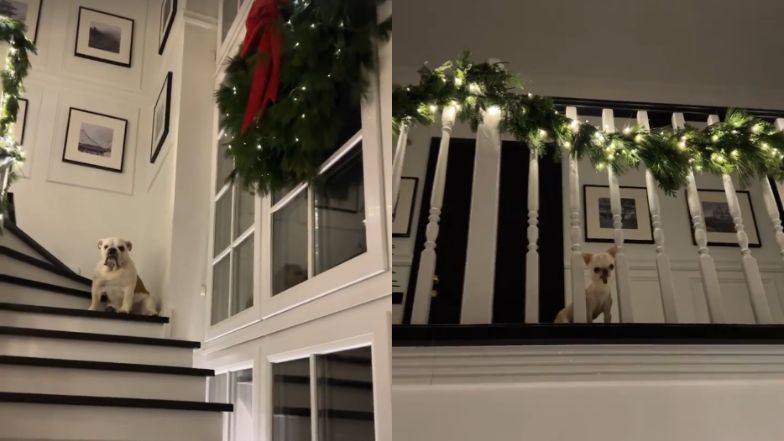 Małgorzata Rozenek już udekorowała dom na święta