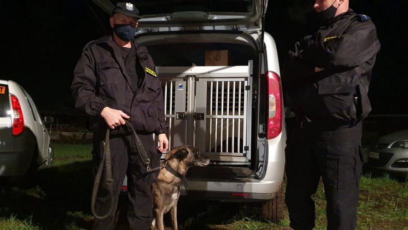 Po prawie 5 godzinach udało się odnaleźć zaginionego.