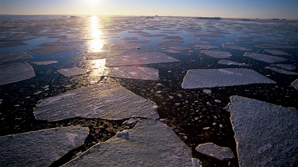 Antarktyda w krytycznym punkcie