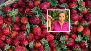 Zrób to przed zjedzeniem truskawek. Katarzyna Bosacka poleca