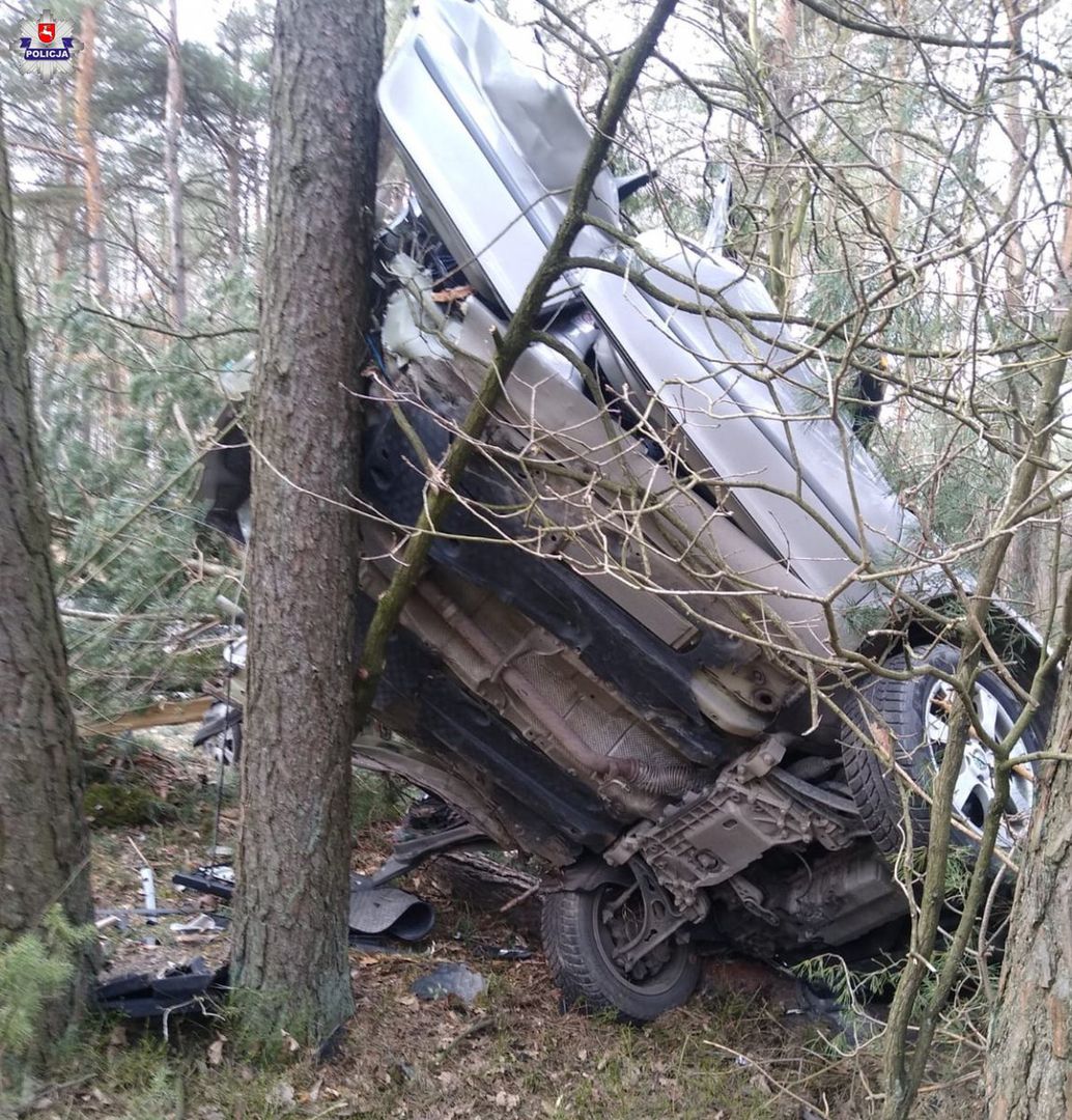 Auto zatrzymało się na drzewie