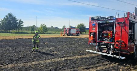 Pożar nieużytków w pobliżu Przybysławic – jednostki OSP w akcji