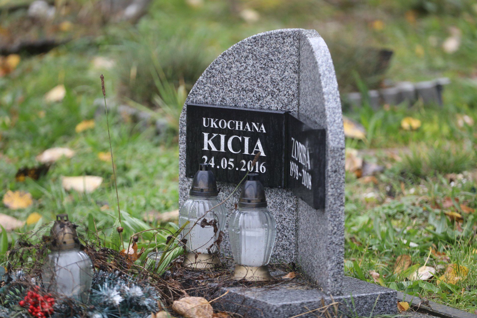 Bytomski cmentarz dla zwierząt to jedyne takie miejsce w regionie