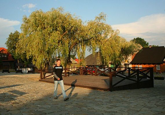 Obraz