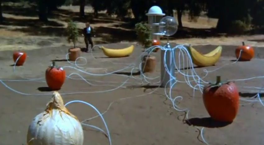 Woody Allen jako futurolog. Jakie technologie przewidział w latach 70. słynny reżyser? 4