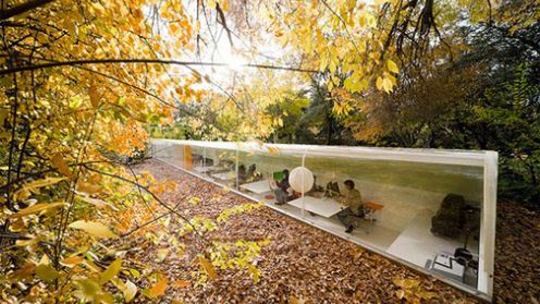 Nietypowe biuro blisko natury 1