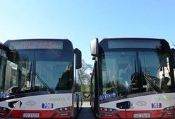 Sosnowiec. Nowe linie autobusowe. Będzie więcej połączeń do Katowic