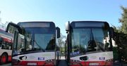 Sosnowiec. Nowe linie autobusowe. Będzie więcej połączeń do Katowic