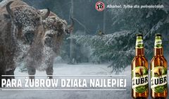 Para żubrów pomaga sikorce w zimowej reklamie piwa Żubr (wideo)