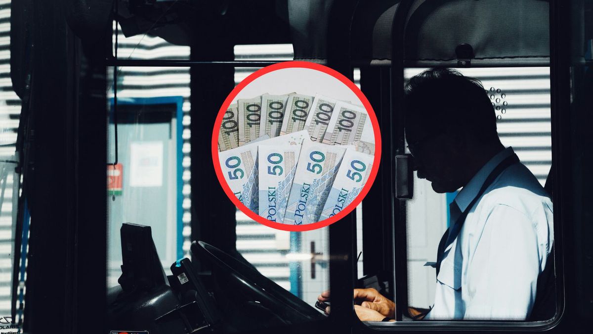 Szukają kierowców do pracy. Oto zarobki