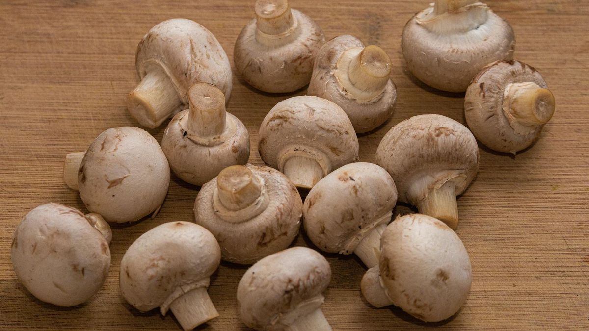 Polska jest czołowym producentem pieczarek w Europie 