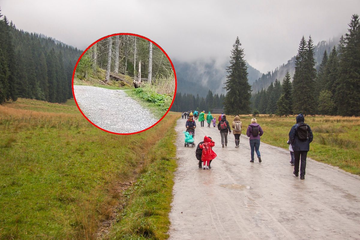 Wideo z Doliny Kościeliskiej. "Umarłabym na miejscu"