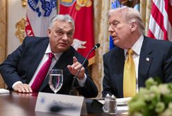 Sukces premiera Węgier po rozmowach z Trumpem. "Orban to zdrajca Unii Europejskiej"