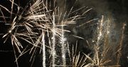 Poznań: BitterSweet Festival: Organizatorzy zadowoleni ze sprzedaży biletów. Co z ochroną przyrody? "Nie powinno być pokazów pirotechnicznych"