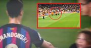 Młody kibic ruszył do Lewandowskiego. Zobacz reakcję Polaka