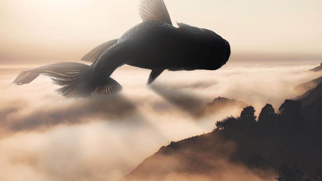 Ted Chin zabiera widza w zmyśloną baśniową podróż dookoła świata 1