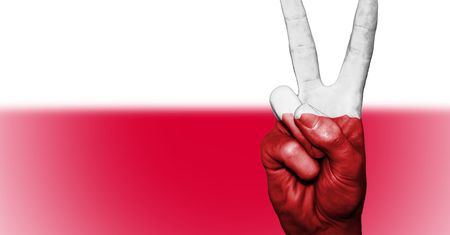 Aplikacja Rycerz bronią internetowej husarii, walczącej ze szkalowaniem Polski