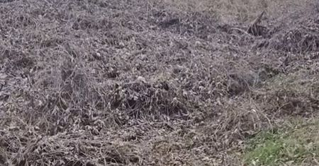Gdzie jest snajper? Ależ się zakamuflował!