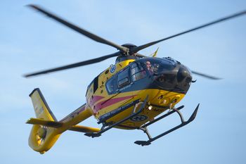 Wypadek na Półwyspie Helskim. Drzewo spadło na jadący samochód