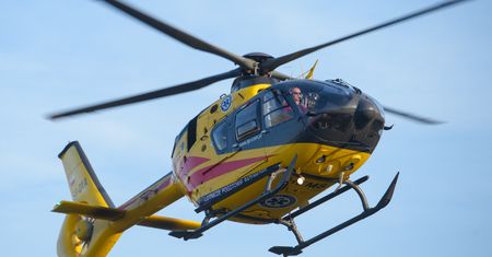 Wypadek na Półwyspie Helskim. Drzewo spadło na jadący samochód