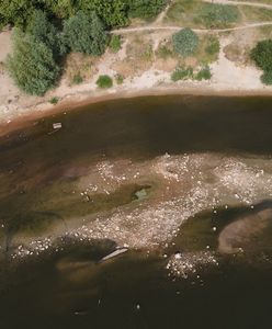 Tajemnicza czaszka wyłowiona z Wisły. Śledczy ujawniają