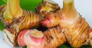 Mało znany kuzyn imbiru. Odchudza i reguluje poziom cholesterolu we krwi