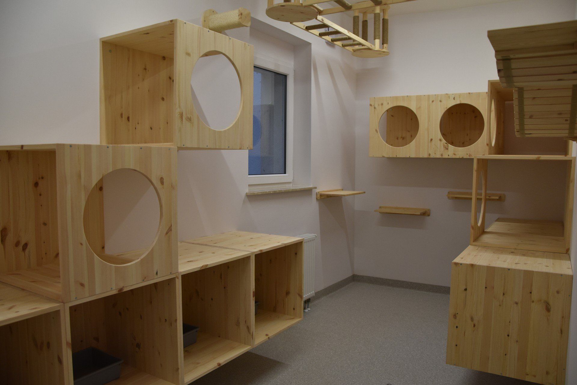 Zobacz zmiany w Schronisku dla Zwierząt w Zielonej Górze