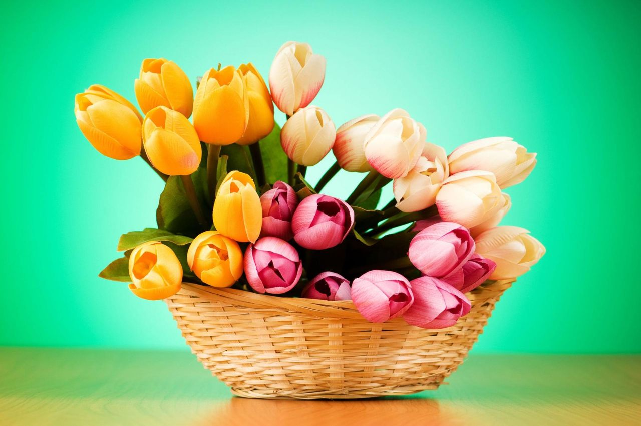 7 domowych sposobów na przedłużenie żywotu kwiatów ciętych. Poznaj sekrety naszych babć