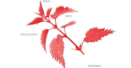 BRACIA Violetta Oliinyk – performans