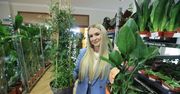 Festiwal zieleni. W Łańcucie trwają dwudniowe targi roślin