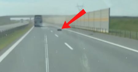 Ujęcia z A1. Ostrzegli w sieci. "Służby w drodze"