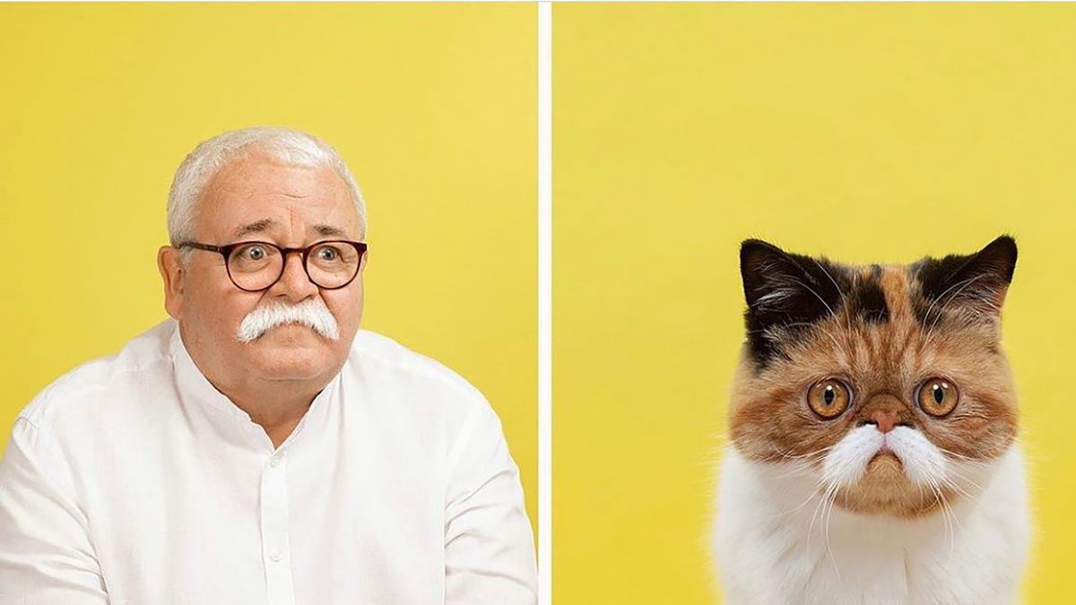 Koty i ludzie są bardziej podobni niż myślisz. Te zdjęcia to niezbity dowód 1