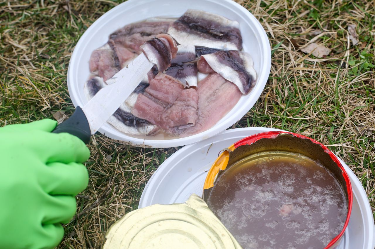 Surströmming is best opened outdoors.