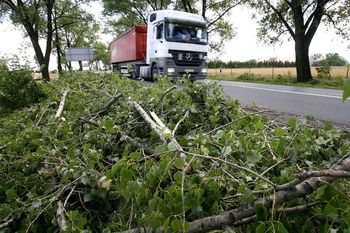 Sytuacja meteorologiczna w Łodzi i województwie. Interwencje strażaków