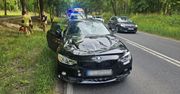 Wypadek w Gorzowie. Drzewo spadło na jadące BMW