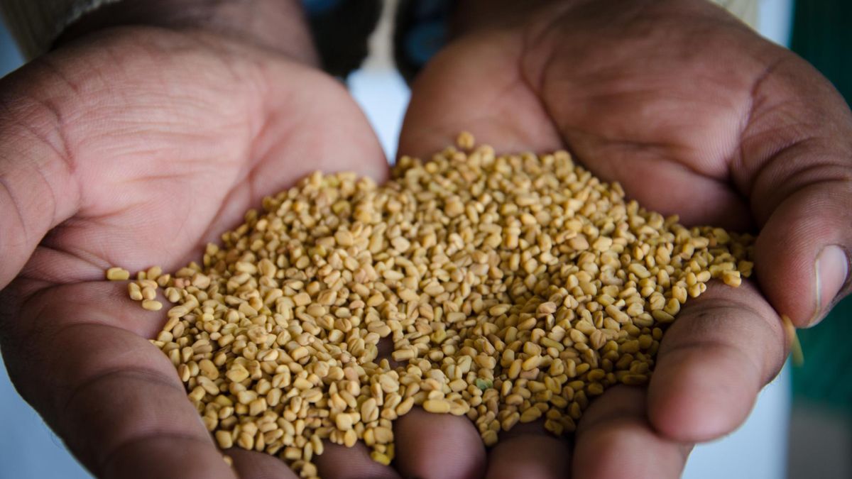 Dwie tanie przyprawy chronią przed cukrzycą. Mowa o cynamonie oraz kozieradce.