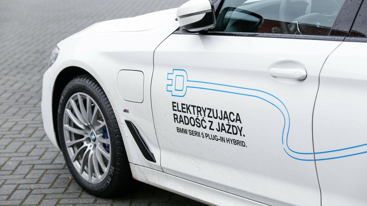 Program "Mój elektryk". Duże dotacje do zakupu aut elektrycznych 1