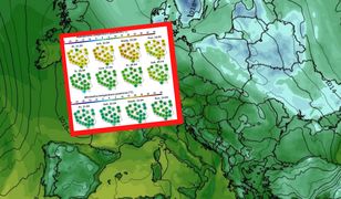 Bez szans na 20 stopni. Majówka nas nie rozpieści