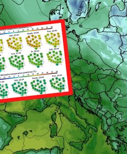 Bez szans na 20 stopni. Majówka nas nie rozpieści