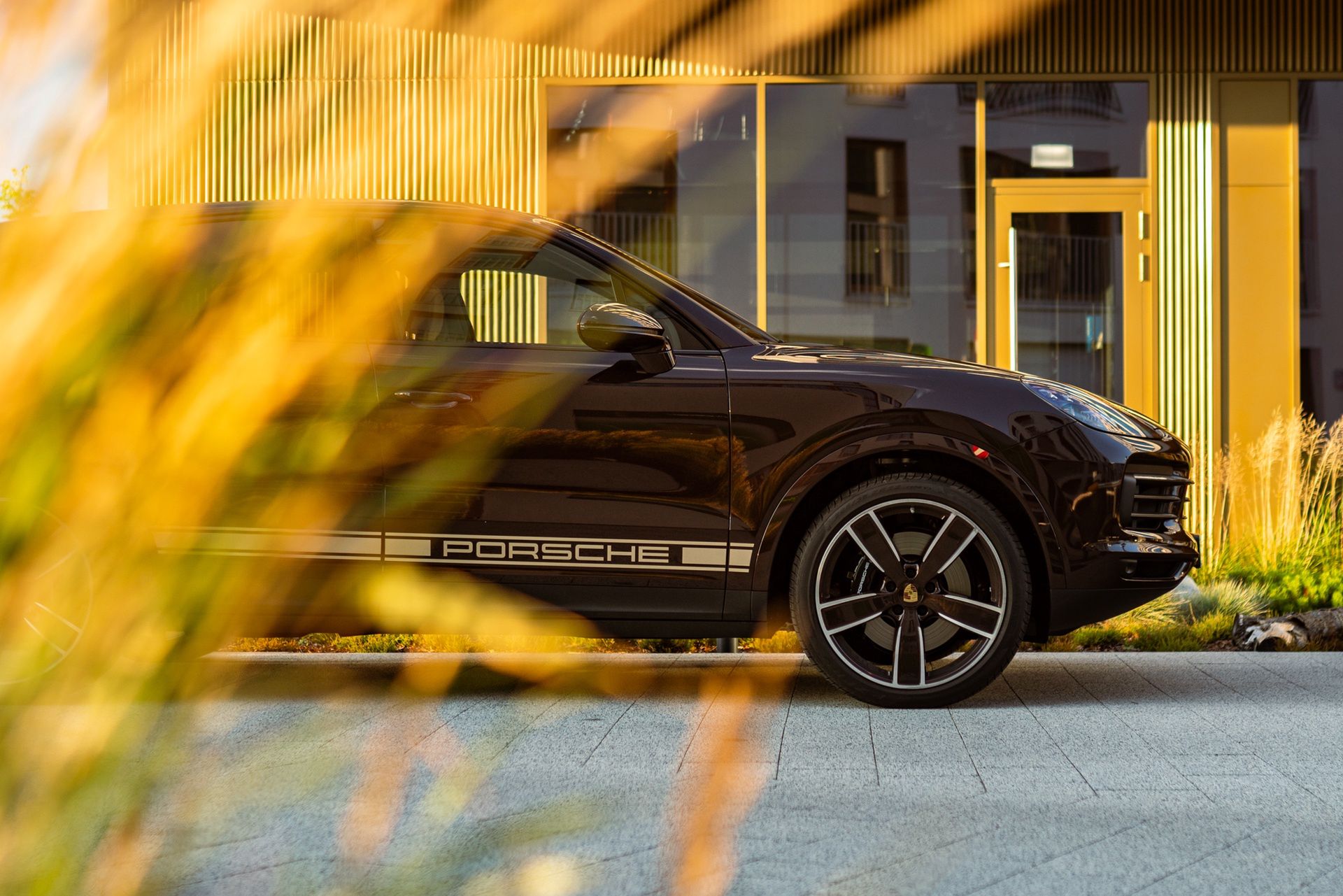 Porsche Cayenne S Platinum Edition (2022)