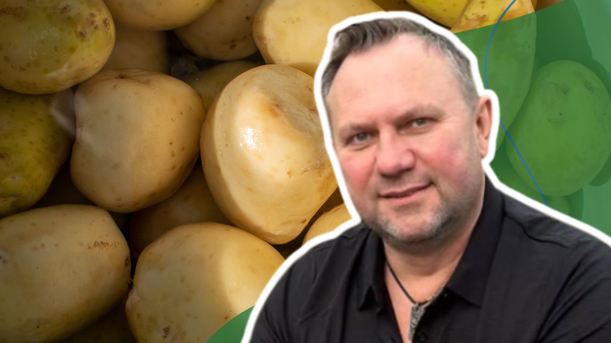 Strzelczyk ma sposób na młode ziemniaki