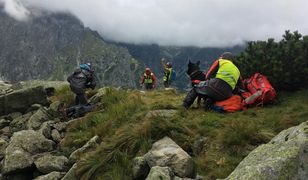 Horror w Tatrach. Obok zwłok leżał pies
