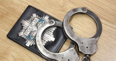 Oleśnica. Ponad cztery lata więzienia za celowe przejechanie psa. Sąd podwyższył wyrok