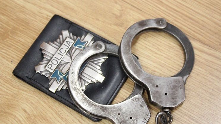 Oleśnica. Ponad cztery lata więzienia za celowe przejechanie psa. Sąd podwyższył wyrok 