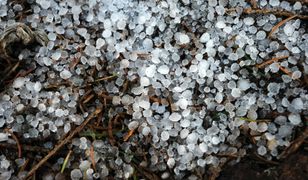 Chłodny front dotarł nad Polskę. Spadła krupa śnieżna