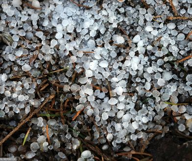 Chłodny front dotarł nad Polskę. Spadła krupa śnieżna