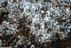 Chłodny front dotarł nad Polskę. Spadła krupa śnieżna